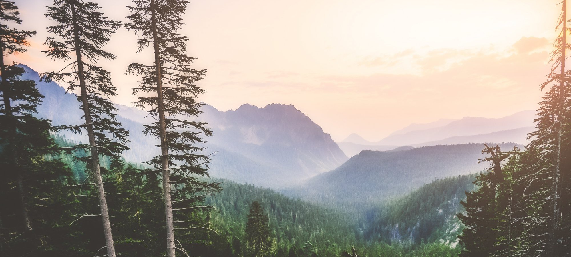 Endodontics Auburn WA, Endodontist